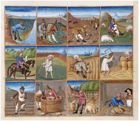 Landwirtschaft im Mittelalter