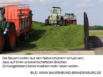 bauernbund-brandenburg.com